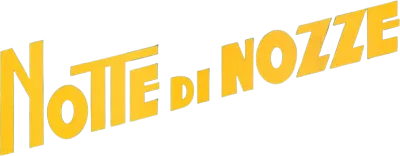 Notte di nozze