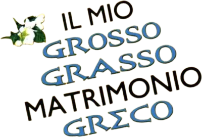 Il mio grosso grasso matrimonio greco streaming Il mio grosso grasso matrimonio greco
