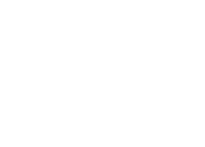 Steve Jobs