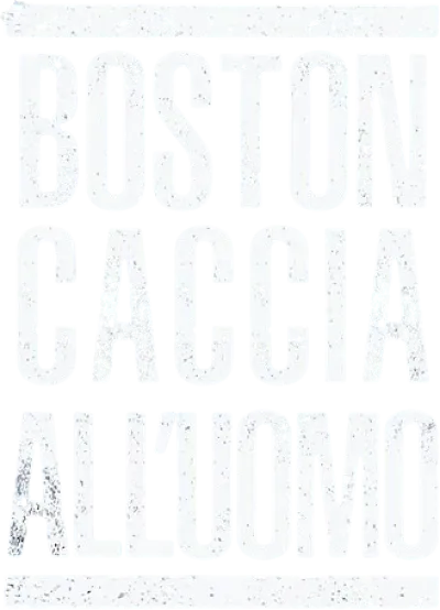 Boston: Caccia all'uomo streaming Boston: Caccia all'uomo