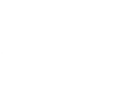 A Dog's Journey