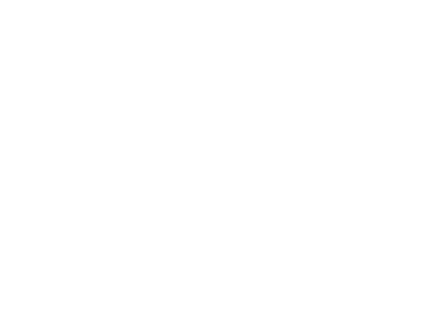 The Brutalist streaming The Brutalist